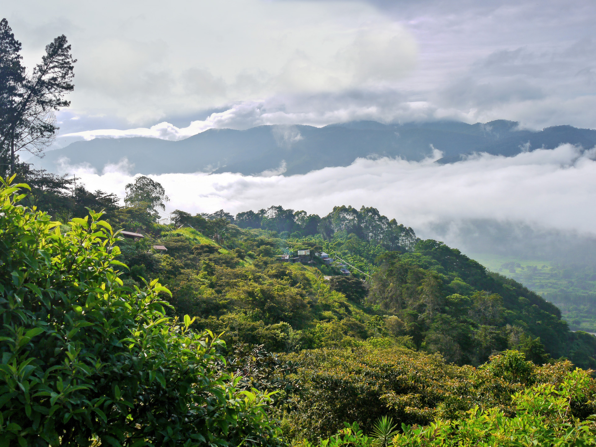 Morgentliche Stimmung im Orosital südöstlich von San José